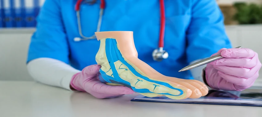 Podiatrist pointing to an anatomical foot model during a consultation